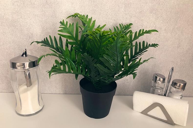 Фото квартиры посуточно